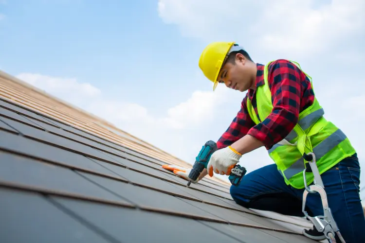 Roof Cleaning – Top Questions Answered