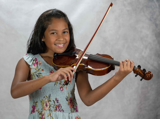 eViolinSchool: Your Journey to Violin Mastery
