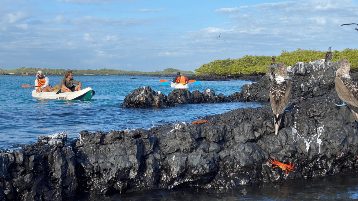 Eco-Paradise: Galapagos Islands Luxury Yacht Expeditions