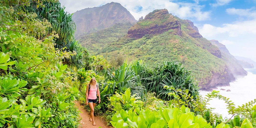 Hawaii Horizons: A Journey Through Traveler’s Paradise