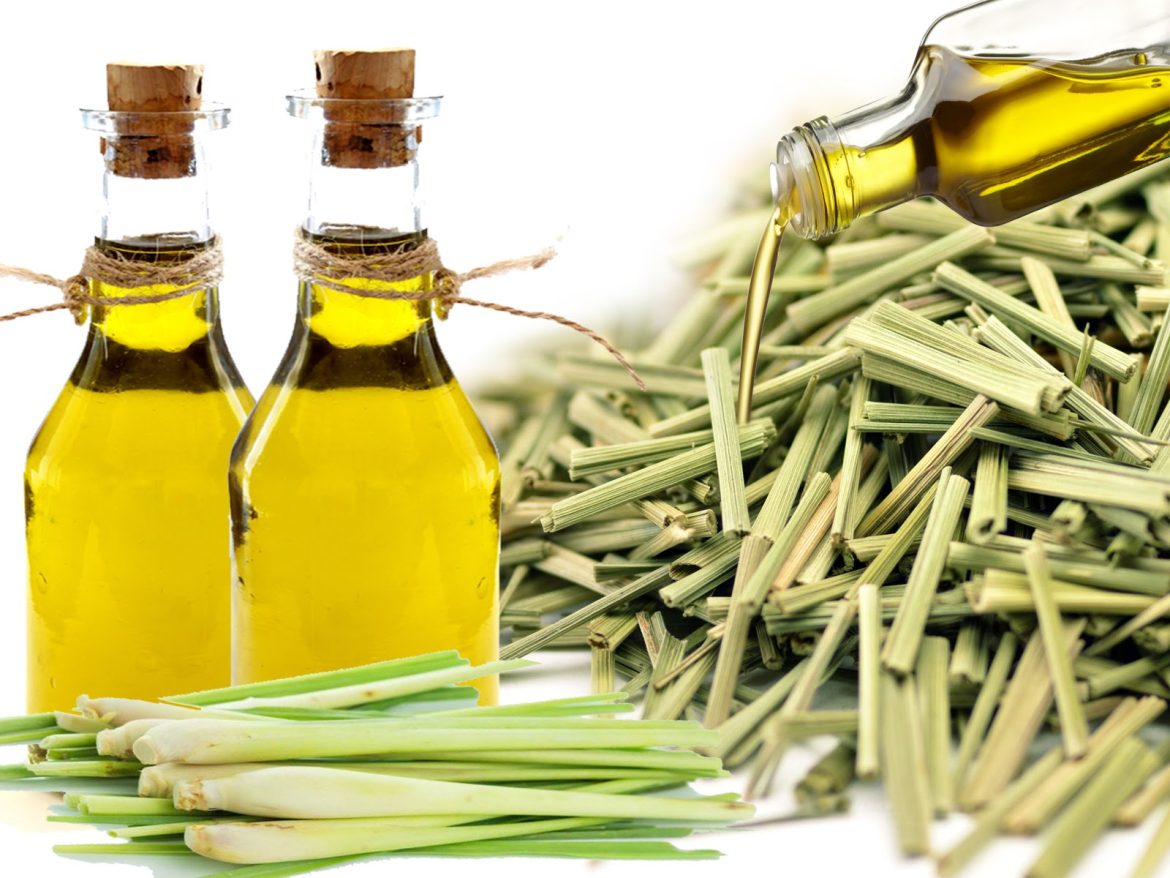 Refreshing Lemongrass Oil: Energize Your Senses with Lemongrass Oil Bliss